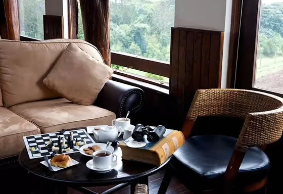 Treetops Hotel Accommodation